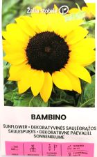 Sunflower Bambino Seed